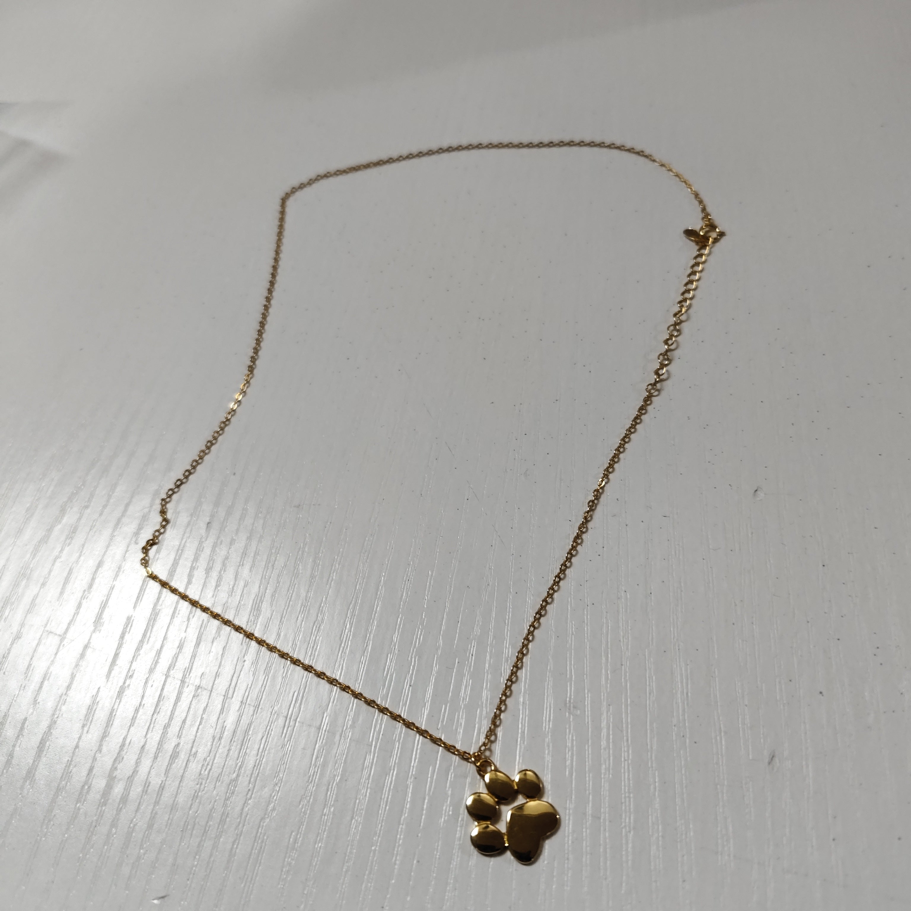 "Always with Me" – Sterling Silver Pet Footprint Necklace in Gold, Rose Gold, or Silver